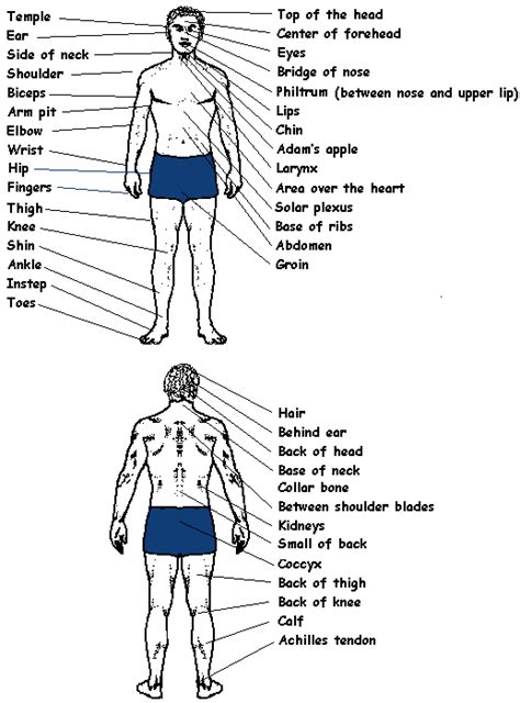 The Stature of Malezia: Vital Points to Remember