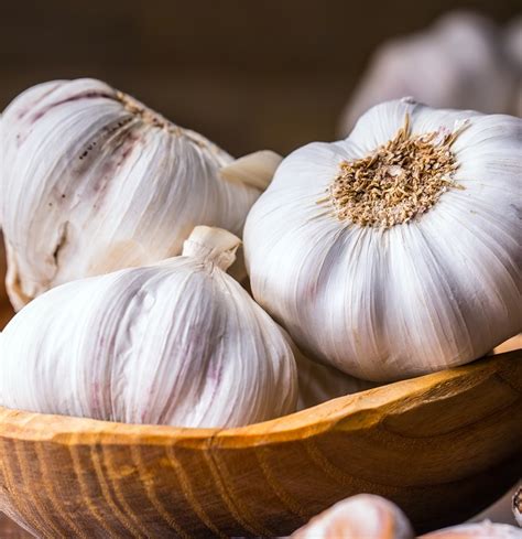 The Story and Origins of Garlic