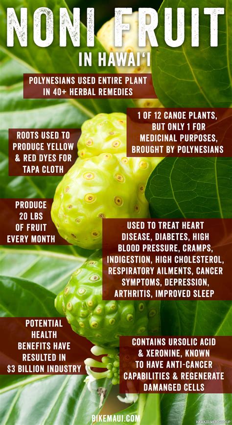 The Story of Noni: A Brief Overview