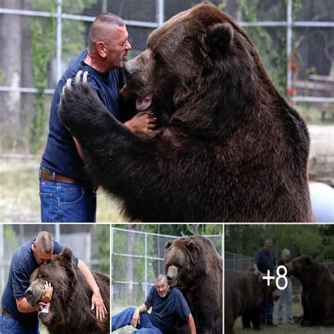 The Strong Connection Between Humans and Bears: Remarkable Tales of Extraordinary Bonds