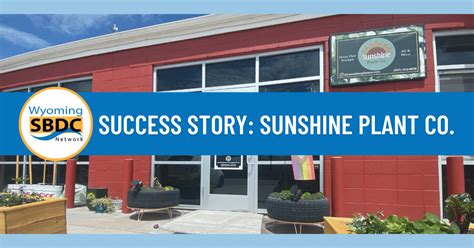 The Success Story of Sunshine K