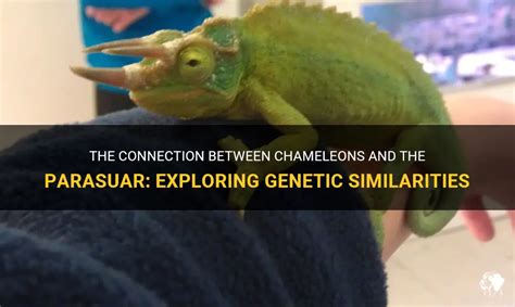 The Surprising Connection Between Chameleons and Identity