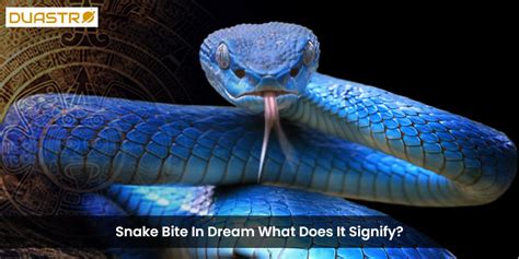 The Symbolic Analysis and Meaning behind Dreaming of Serpents