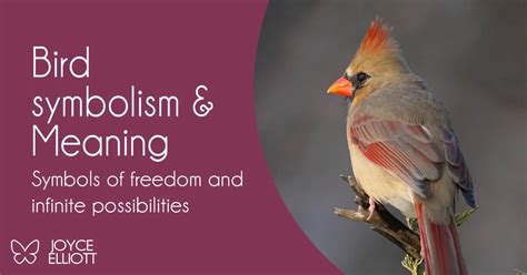 The Symbolic Connection Between Birds and Freedom in Dream Interpretation