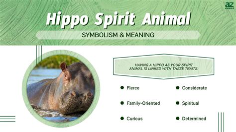 The Symbolic Connection between Hippos and the Underworld