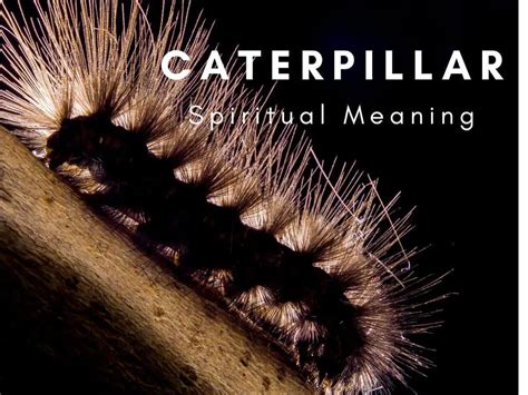 The Symbolic Importance of Caterpillars in Dreams