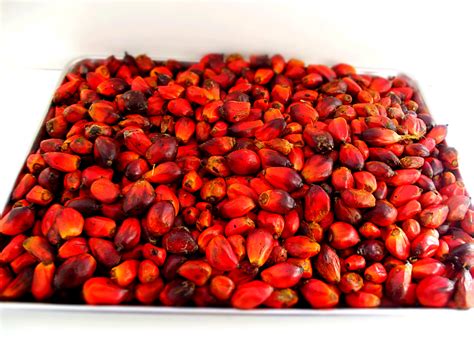 The Symbolic Importance of Consuming Palm Kernel