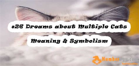 The Symbolic Importance of Multiple Felines in Hindi Dream Symbolism