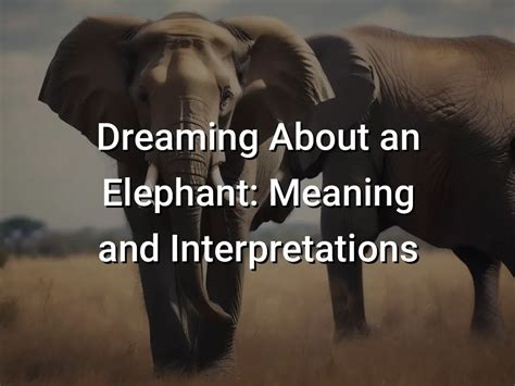 The Symbolic Interpretation of Dreaming about the Arrival of a Newborn Elephant