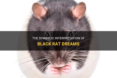 The Symbolic Interpretation of Rat Dreams from a Psychological Perspective