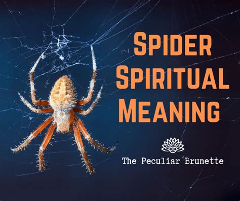 The Symbolic Meaning and Interpretation of Spider Dreams