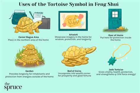 The Symbolic Meaning and Significance of the Mysterious Black Tortoise