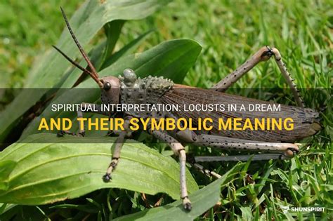 The Symbolic Meaning of Locusts in Dreams