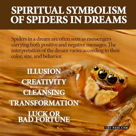 The Symbolic Meaning of Spider Dreams