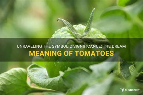 The Symbolic Meaning of Tomatoes