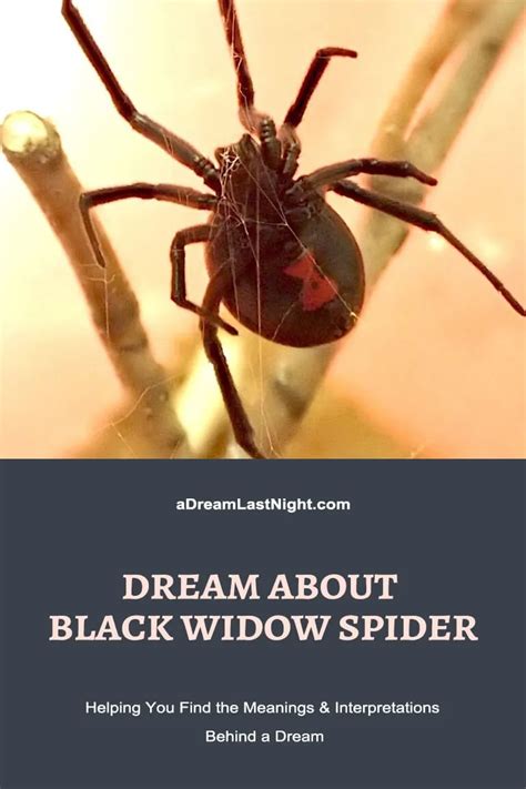 The Symbolic Meaning of a Black Widow Spider Bite in Dreams