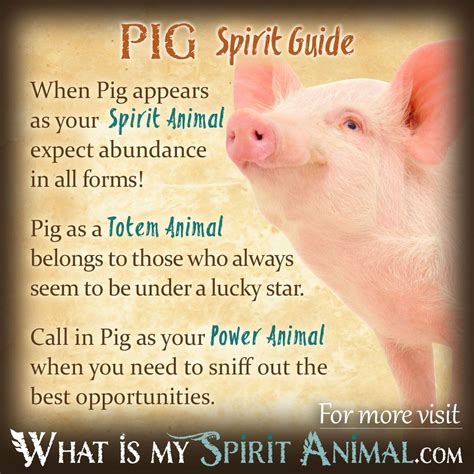 The Symbolic Meaning of a Pig