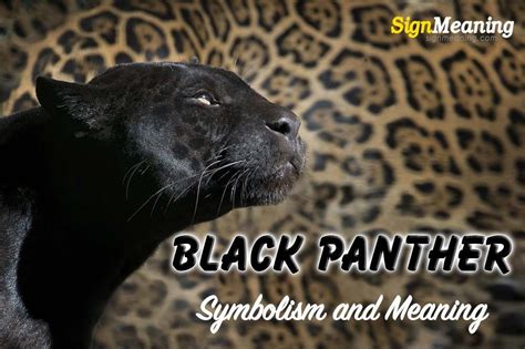 The Symbolic Meanings Unveiled: Exploring the Significance of a Mysterious Panther in Your Dreams