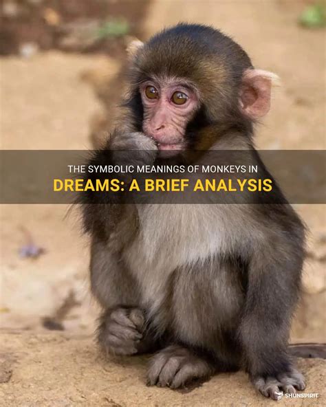 The Symbolic Nature of Primates in Dreams