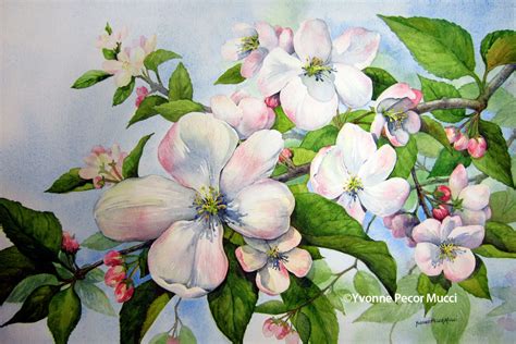 The Symbolic Representation of Apple Blossoms in Art and Visual Mediums