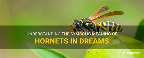 The Symbolic Representation of Hornets in the Interpretation of Dreams