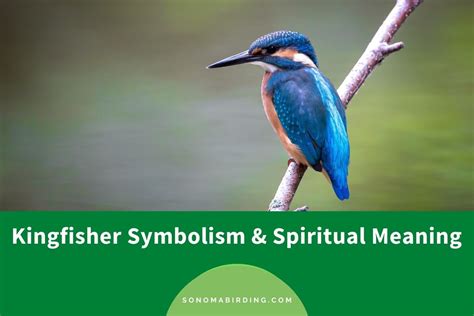 The Symbolic Role of Kingfishers as Truth-Seekers