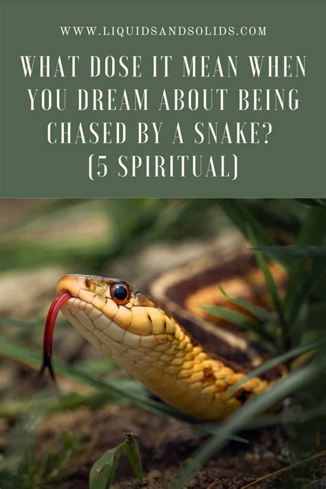 The Symbolic Significance of Being Pursued by a Rattlesnake in Dreams