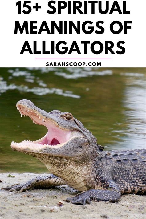 The Symbolic Significance of Crocodile Alligators in Dreams