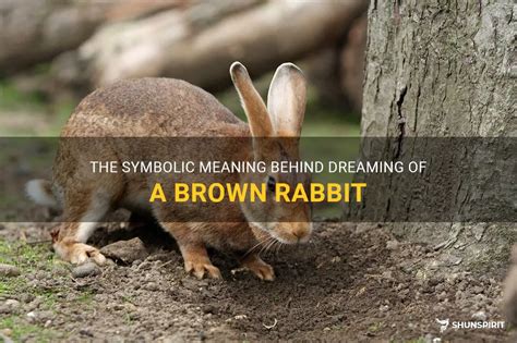 The Symbolic Significance of Dreaming about Rabbits Being Slaughtered