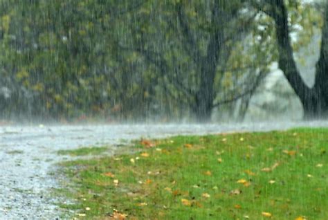 The Symbolic Significance of Dreaming of Torrential Rain