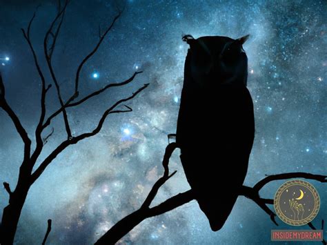 The Symbolic Significance of Owl Assaults in Dream Interpretation