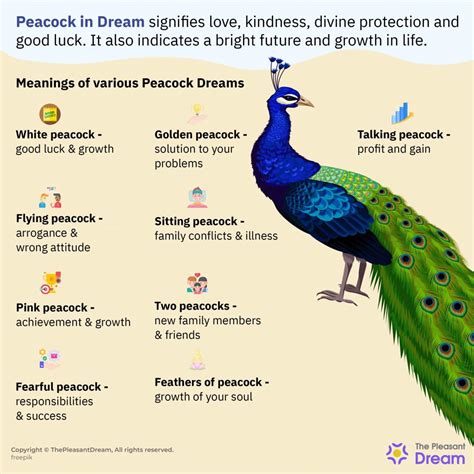 The Symbolic Significance of Peacock Feathers in Dreams