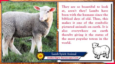 The Symbolic Significance of Pure Newborn Lambs