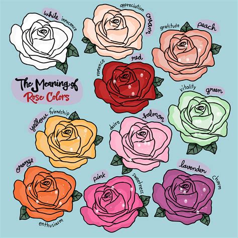 The Symbolic Significance of Roses in the Realm of Dreams