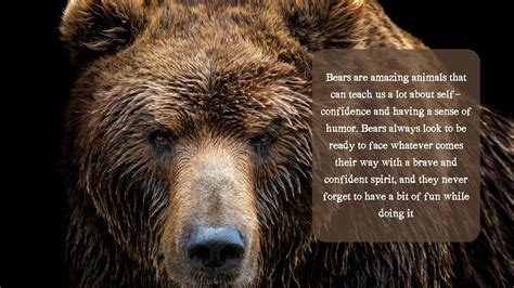 The Symbolic Significance of a Bear's Stride