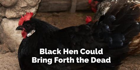 The Symbolic Significance of a Deceased Ebony Hen in Dream States