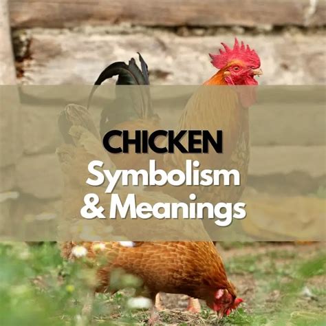 The Symbolic Significance of a Hen Trailing Your Path