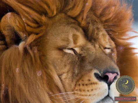 The Symbolic Significance of a Lion Dream: Decoding the Hidden Messages