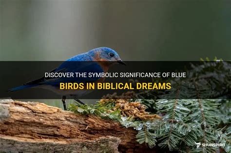 The Symbolic Significance of the Restful Bird