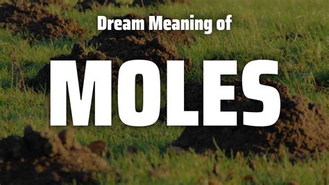 The Symbolic Value of Moles in Dreams