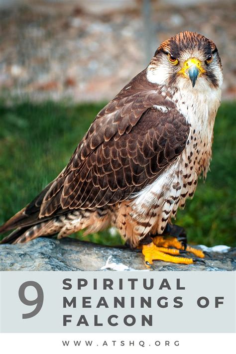 The Symbolic and Spiritual Significance of Magnificent Falcons