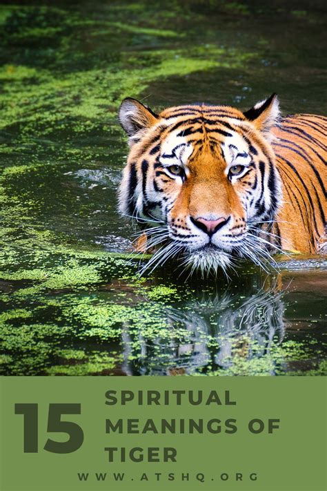 The Symbolic and Spiritual Significance of Tigers