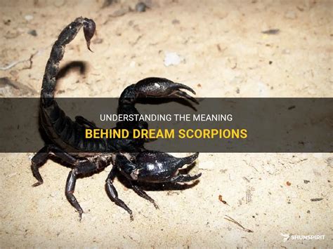 The Symbolism Behind Scorpions in Dreams