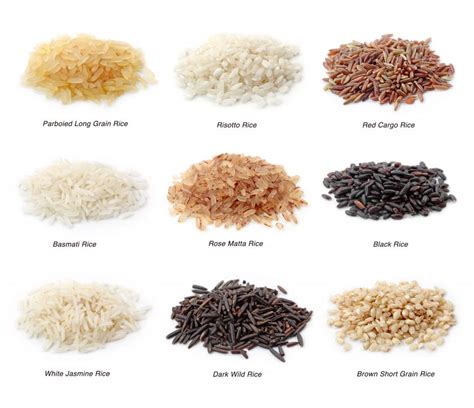 The Symbolism Behind the Grain: Exploring the Meaning of Rice