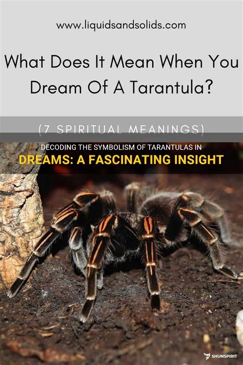 The Symbolism and Importance of Tarantulas in Dreams