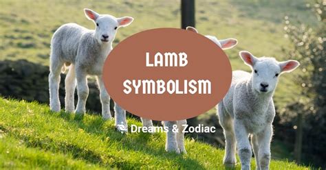 The Symbolism and Meaning Behind Ending the Lives of Innocent Lambs in Dreams