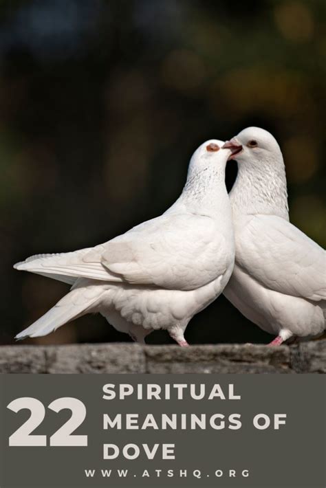 The Symbolism and Meaning of White Doves