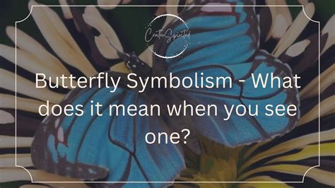 The Symbolism and Meaning of the Enchanting Rainbow Butterfly