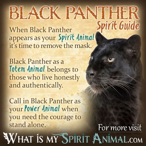 The Symbolism and Power of the Majestic Panther