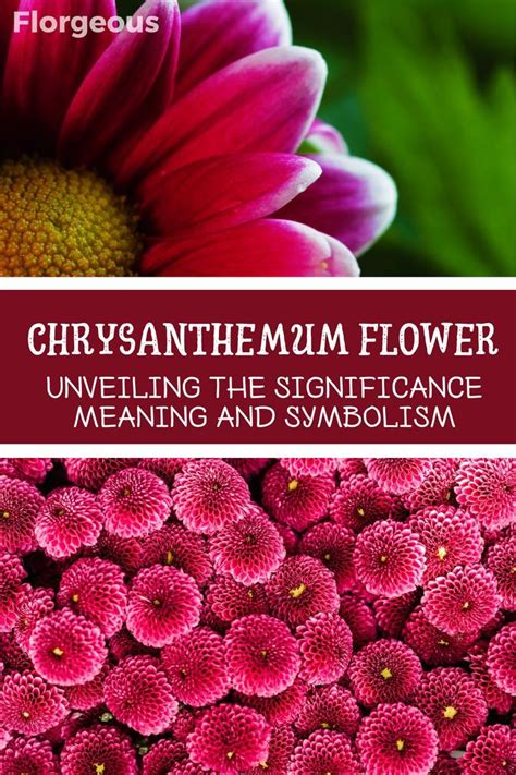 The Symbolism of Crimson Blossoms in Diverse Cultures